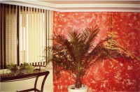 /album/galeria-de-fotos/digitalizar-1-jpg/